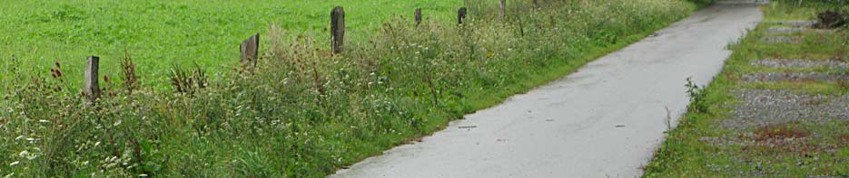 Blühstreifen gemulcht – mal wieder!