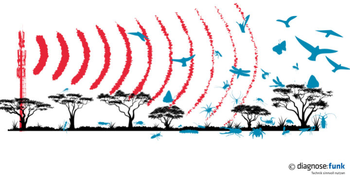 Studie zeigt: Deutlich weniger Insekten und Vögel in Nähe von Mobilfunkmast