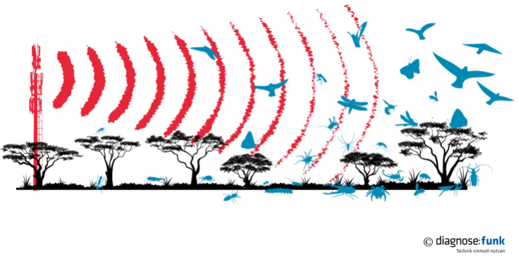 Studie zeigt: Deutlich weniger Insekten und Vögel in Nähe von Mobilfunkmast