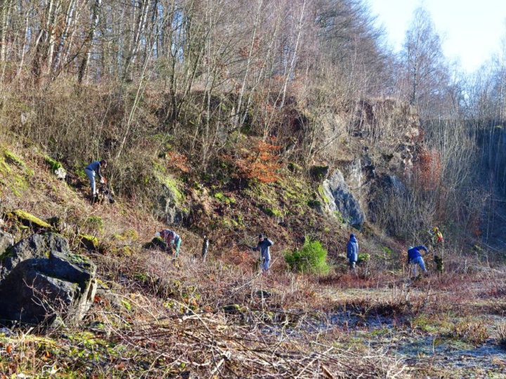 Landschaftspflege in Grube 10, im Osterholzer Wald und auf der A4-Ausgleichsfläche 