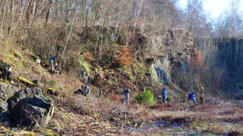 Landschaftspflege in Grube 10, im Osterholzer Wald und auf der A4-Ausgleichsfläche 