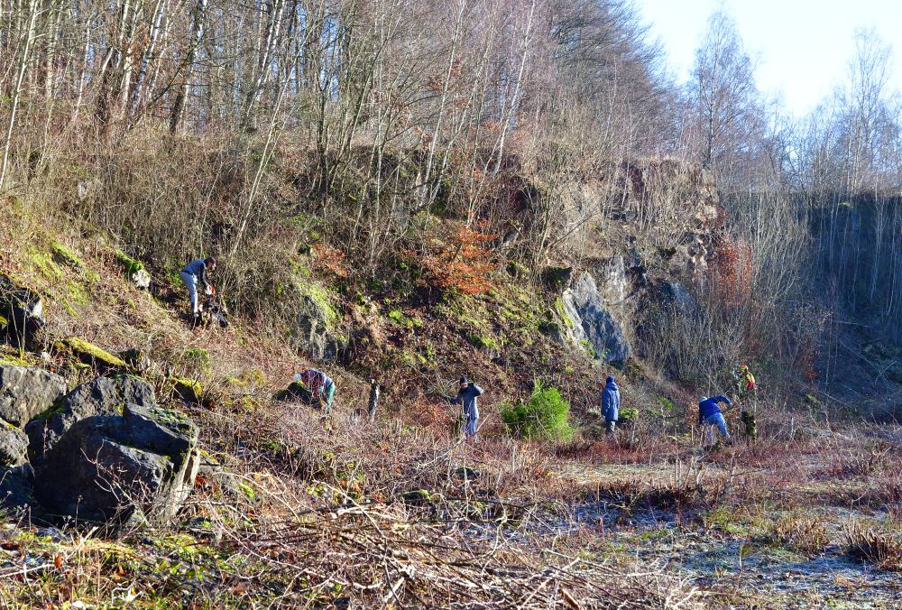 Landschaftspflege in Grube 10, im Osterholzer Wald und auf der A4-Ausgleichsfläche 