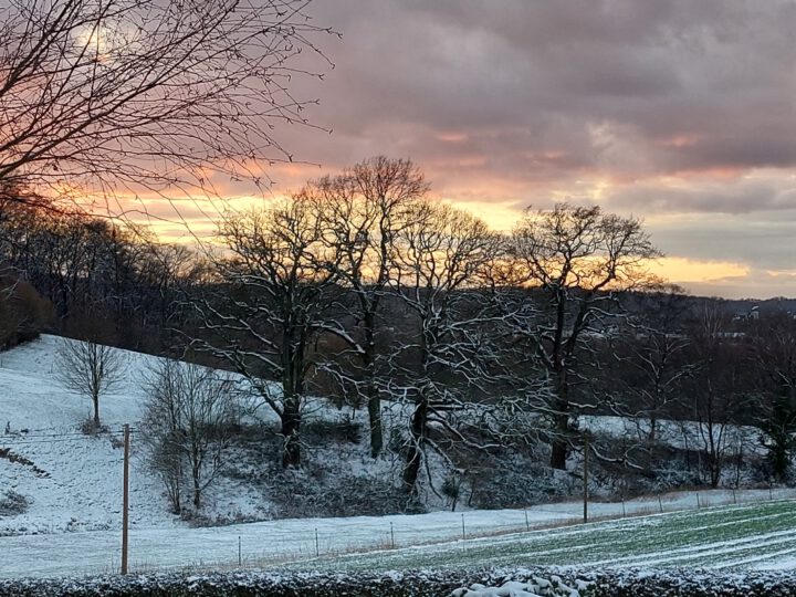 Regenmengenstatistik vom Zaunholzbusch in Haan – 1990 bis 2023