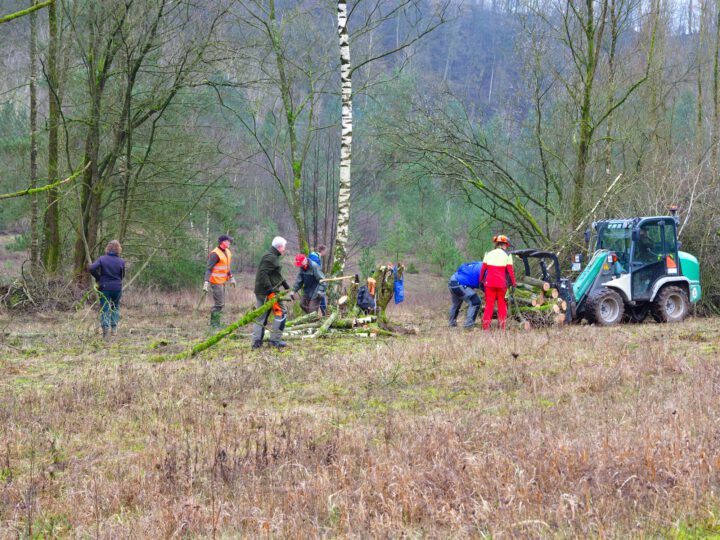 Letzte Aufräumaktion in Grube 7 vor der Vogelschutzpause 2024