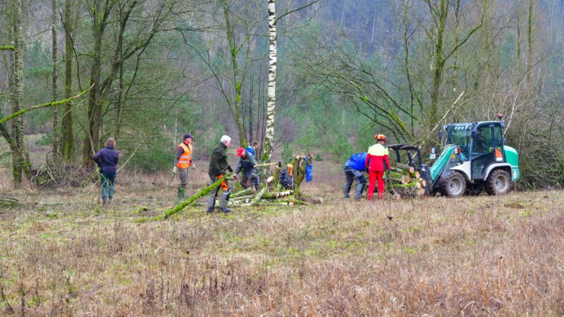 Letzte Aufräumaktion in Grube 7 vor der Vogelschutzpause 2024