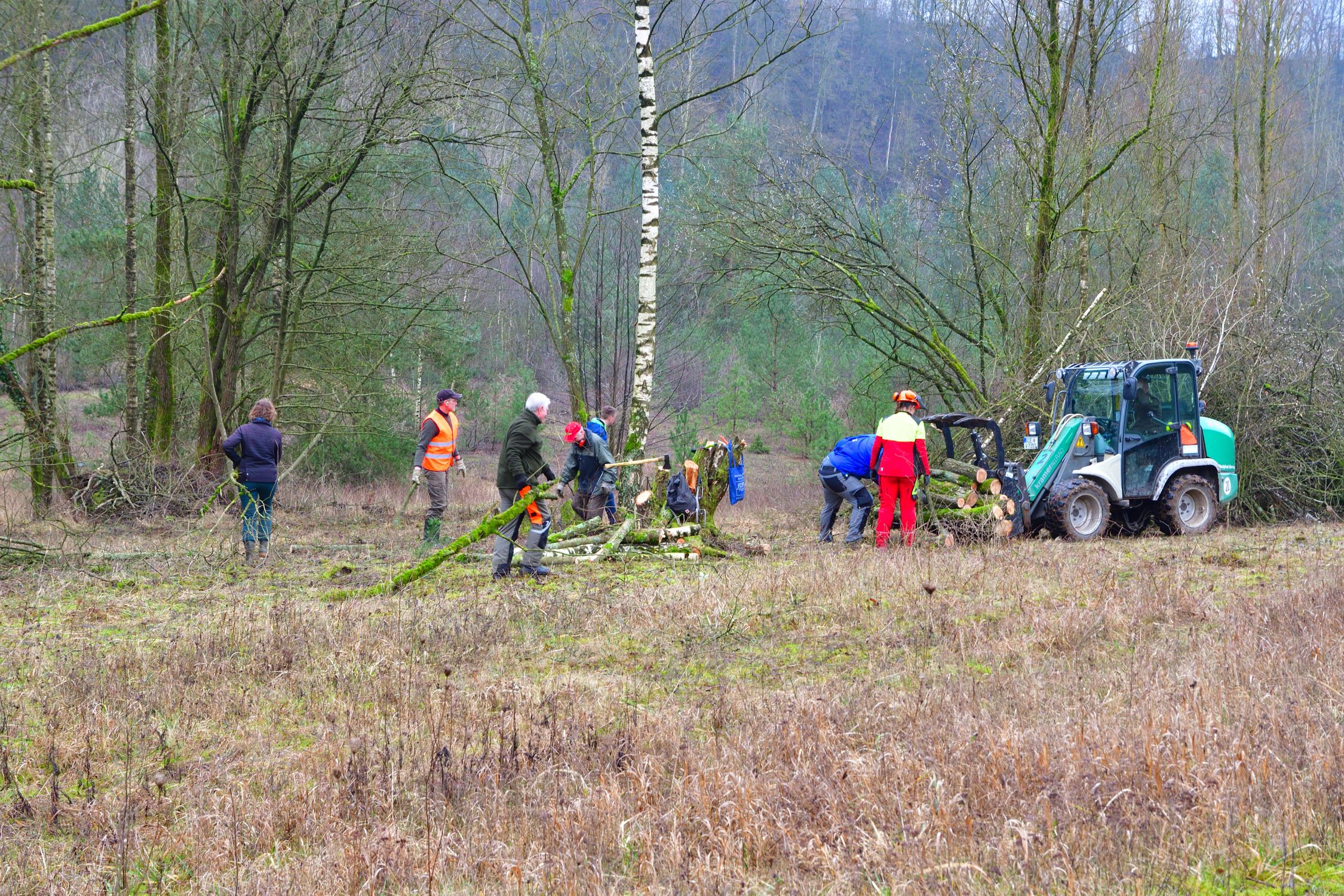 Letzte Aufräumaktion in Grube 7 vor der Vogelschutzpause 2024