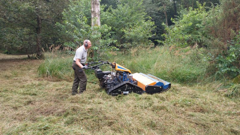Erster Arbeitseinsatz 2024 in der Hildener Heide