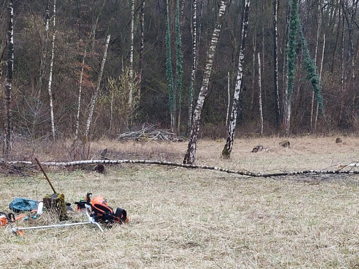 Aufräumaktion im Sedimentationsbecken