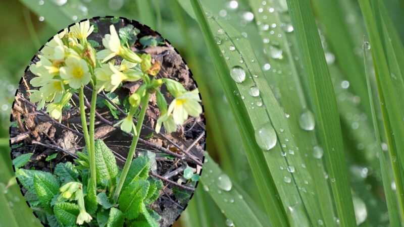 Lokaler Wetterbericht aus Haan und Gruiten