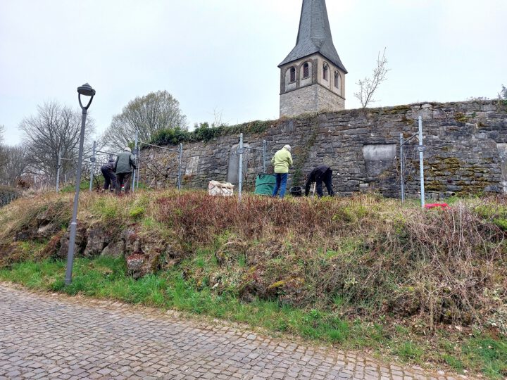 Pflegeeinsatz am Gruitener Weinberg