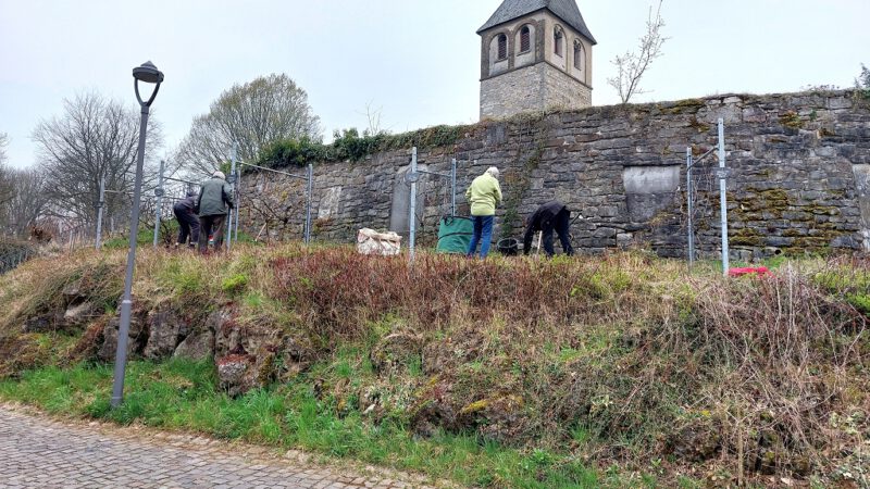 Pflegeeinsatz am Gruitener Weinberg