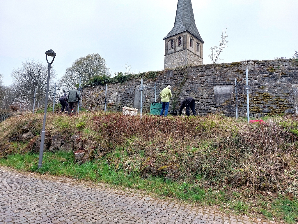 Pflegeeinsatz am Gruitener Weinberg