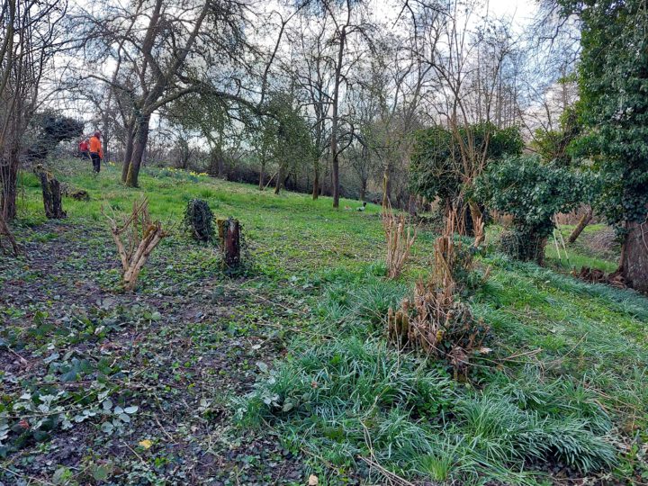 Mäheinsatz auf der Streuobstwiese ,,Gut Zur Mühlen“