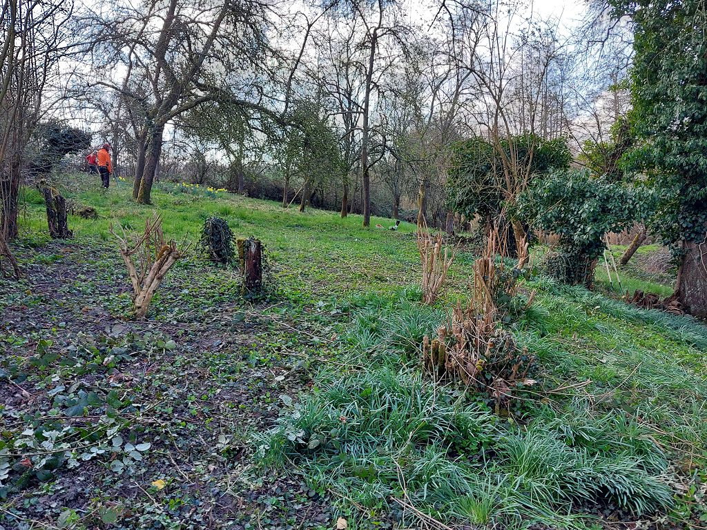 Mäheinsatz auf der Streuobstwiese ,,Gut Zur Mühlen“