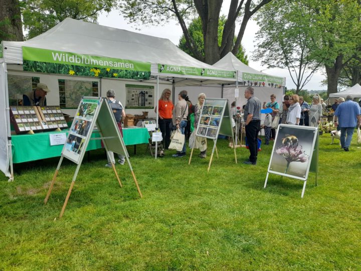 Die AGNU auf der Haaner Gartenlust 2025