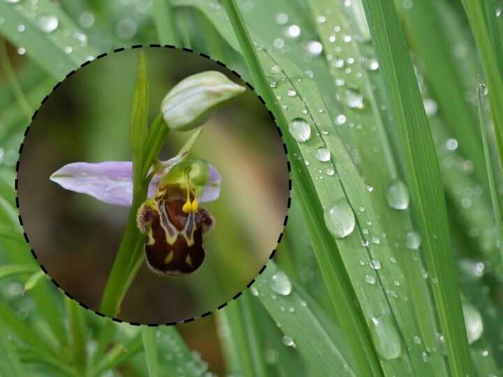 Lokaler Wetterbericht aus Haan und Gruiten