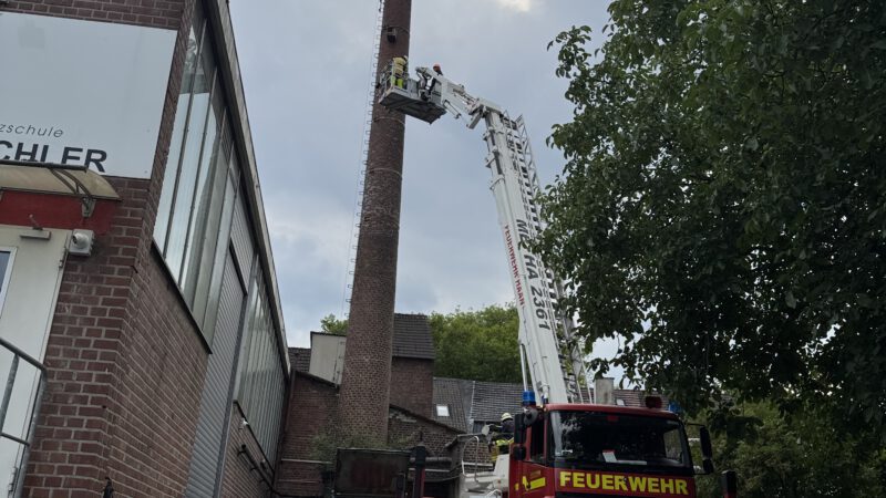 Der Falkenkasten hängt