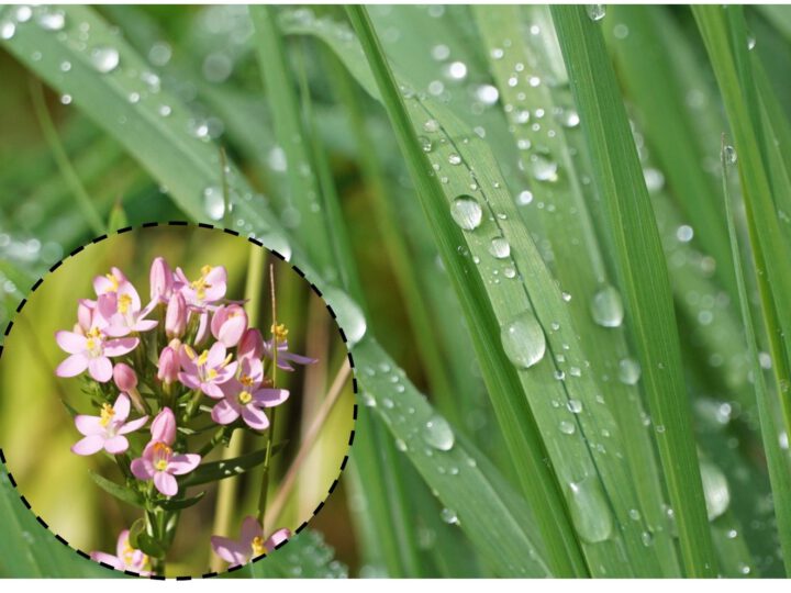 Lokaler Wetterbericht aus Haan und Gruiten