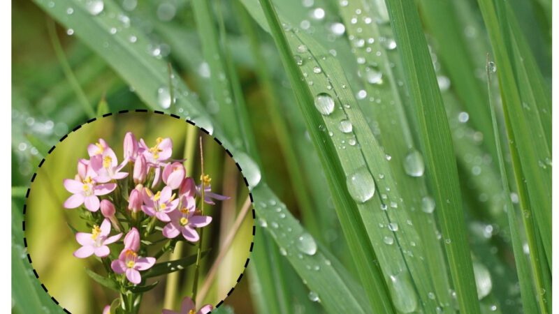 Lokaler Wetterbericht aus Haan und Gruiten