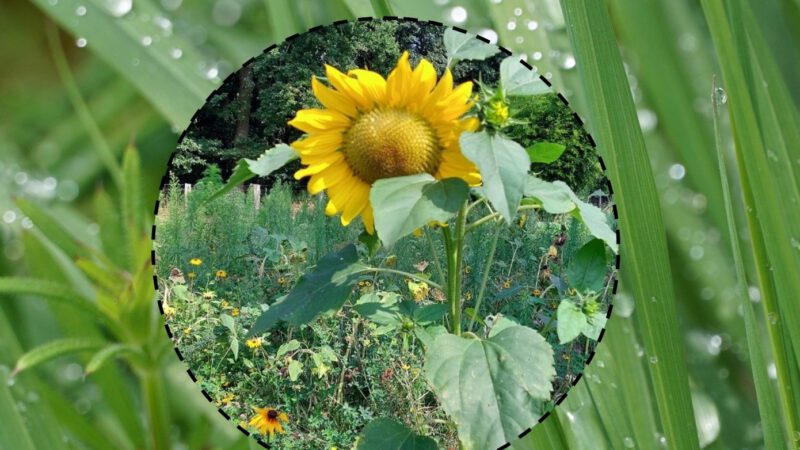 Lokaler Wetterbericht 2026 – Haan und Gruiten