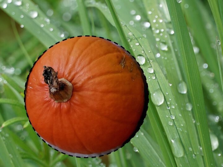Lokaler Wetterbericht aus Haan und Gruiten