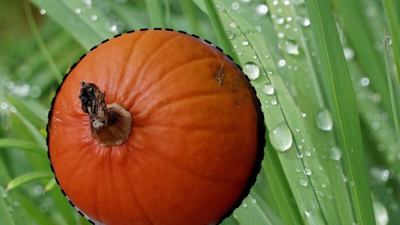 Lokaler Wetterbericht aus Haan und Gruiten