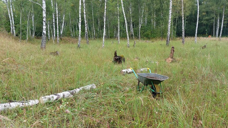 Mäh- und Abräumaktionen in den Haan-Gruitener Steinbrüchen – 2025