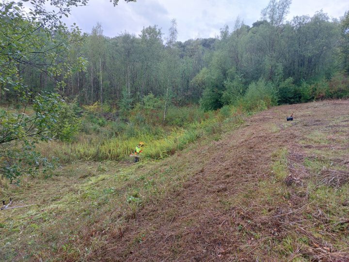 Mäh- und Abräumaktionen 2025 – Fortsetzung