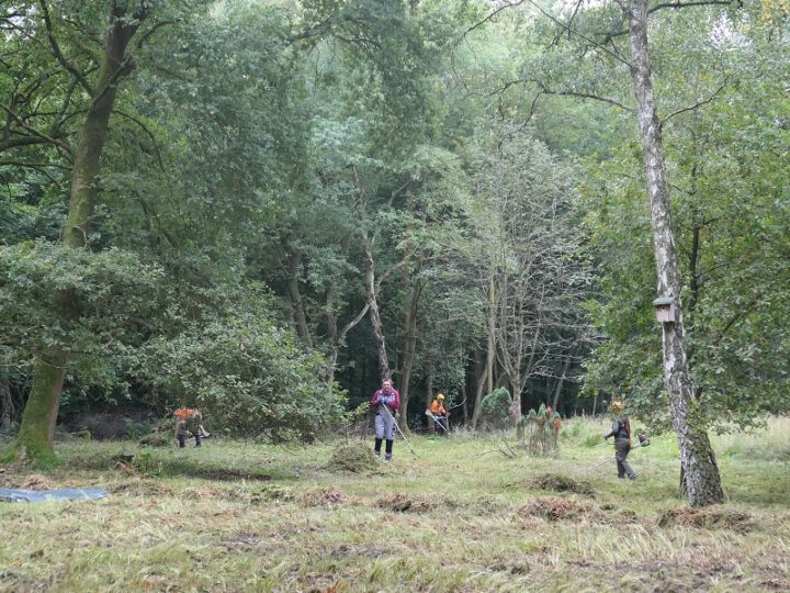 Arbeitseinsatz auf der Hildener Heideterrasse – 27. Sept. 2025