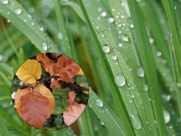 Lokaler Wetterbericht aus Haan und Gruiten