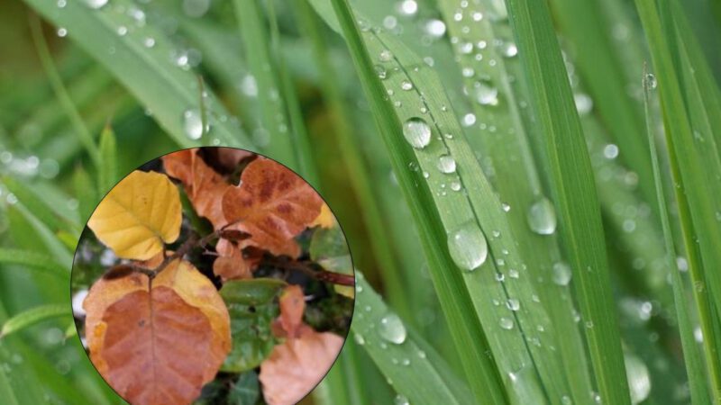 Lokaler Wetterbericht aus Haan und Gruiten