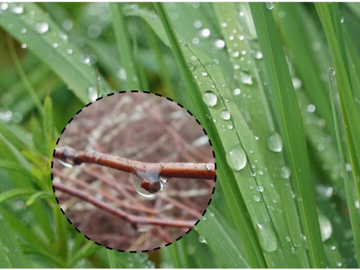 Lokaler Wetterbericht aus Haan und Gruiten