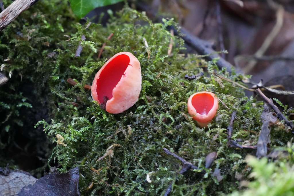 Erste Begehung der Grube 7 am 19. Januar 2026