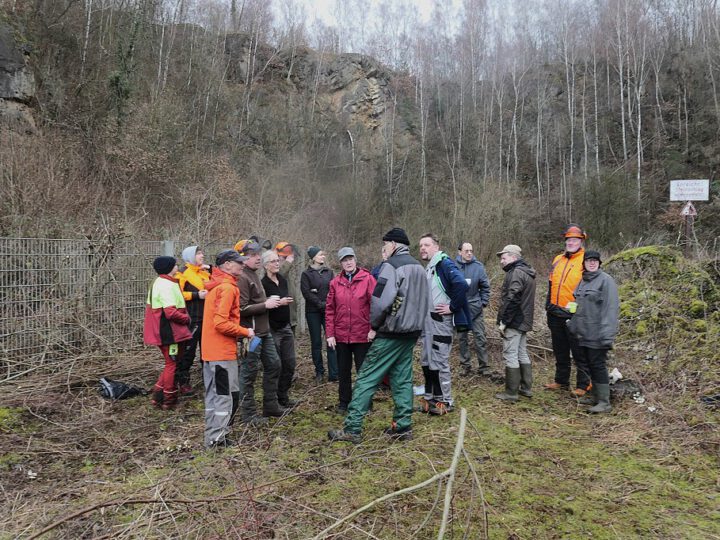 Arbeitseinsätze 2026 auf der Wanderwegs Ebene der Grube 7