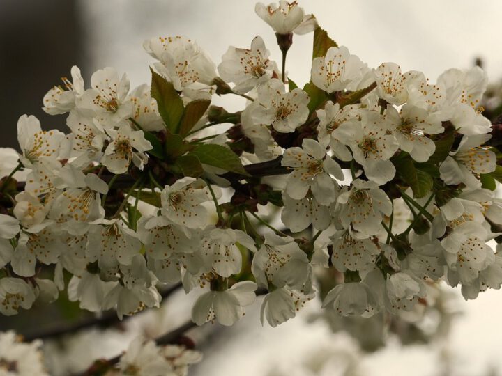 Lokaler Wetterbericht 2026 – Haan und Gruiten