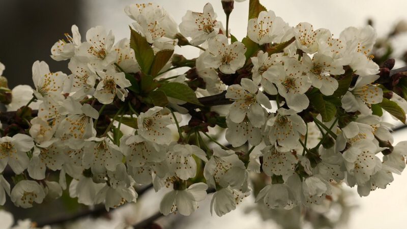 Lokaler Wetterbericht 2026 – Haan und Gruiten